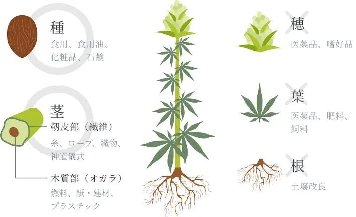 大麻に無駄はない？